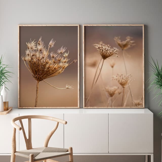 Kit Quadros Decorativos Florais e Folhagens Dente de Leão Plantas Secas Outono
