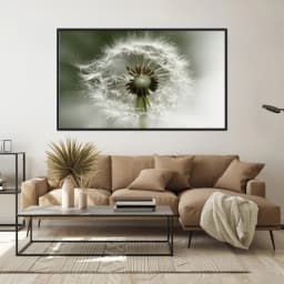 Quadro Decorativo Dente De Leão
