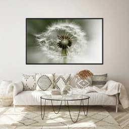 Quadro Decorativo Dente De Leão