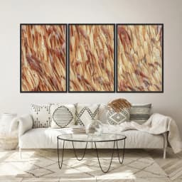 Kit Quadros Decorativos Vagem Desidratada