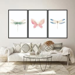 Kit Quadros Decorativos Borboleta E Libélulas