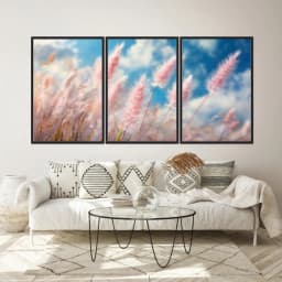 Kit Quadros Decorativos Pampas Rosa