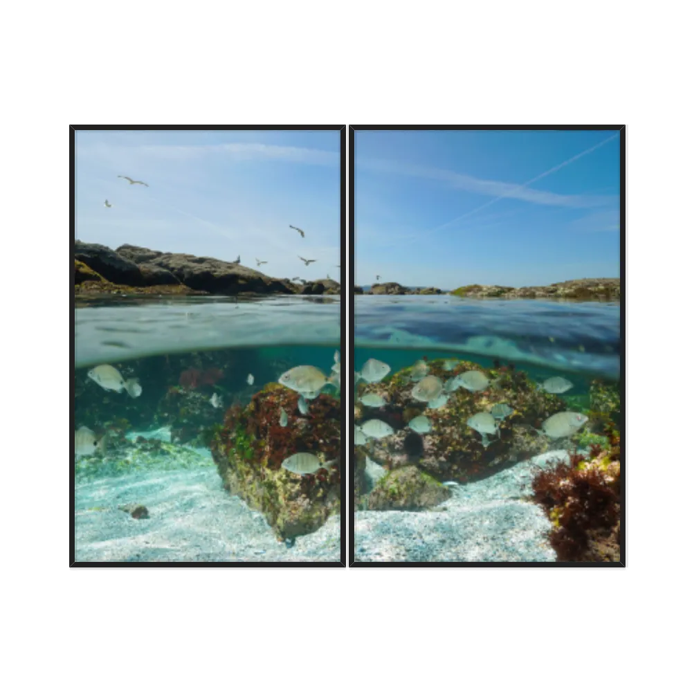 Kit Quadros Decorativos Mar Com Peixe