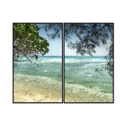 Kit Quadros Decorativos Galhos Com Vista Para O Mar