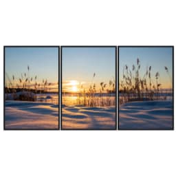 Kit Quadros Decorativos Lago Congelado
