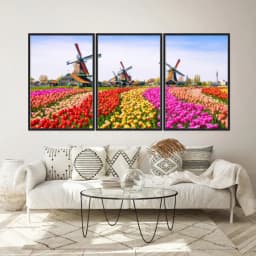Kit Quadros Decorativos Tulipas Zaanse Holanda