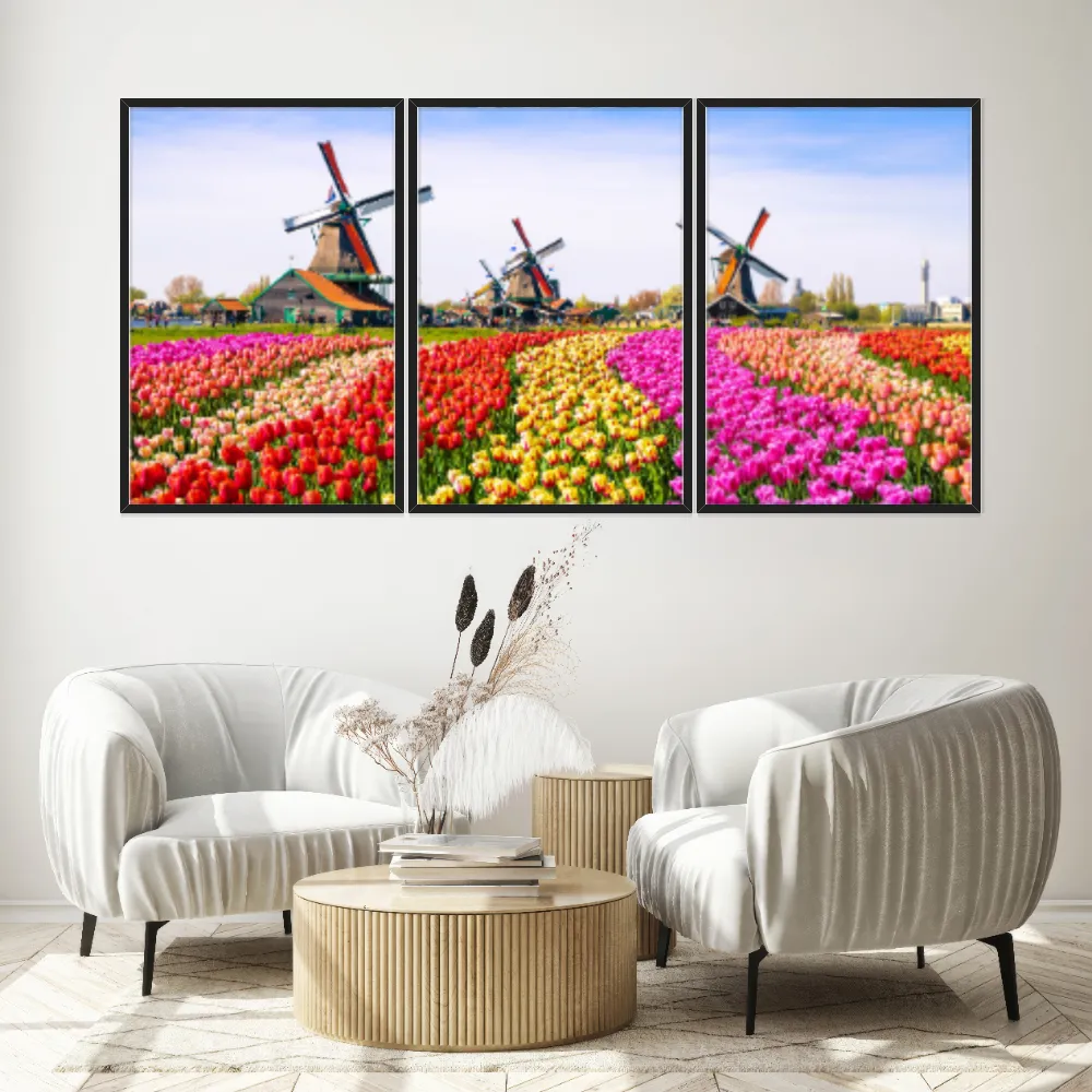 Kit Quadros Decorativos Tulipas Zaanse Holanda