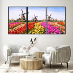 Kit Quadros Decorativos Tulipas Zaanse Holanda